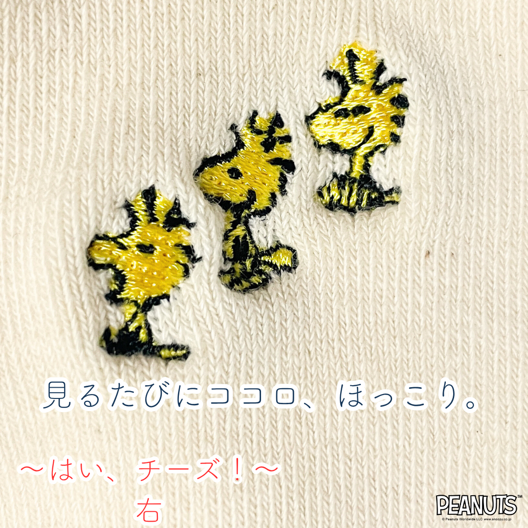 《秋冬》じんわりアームウォーマー PEANUTS