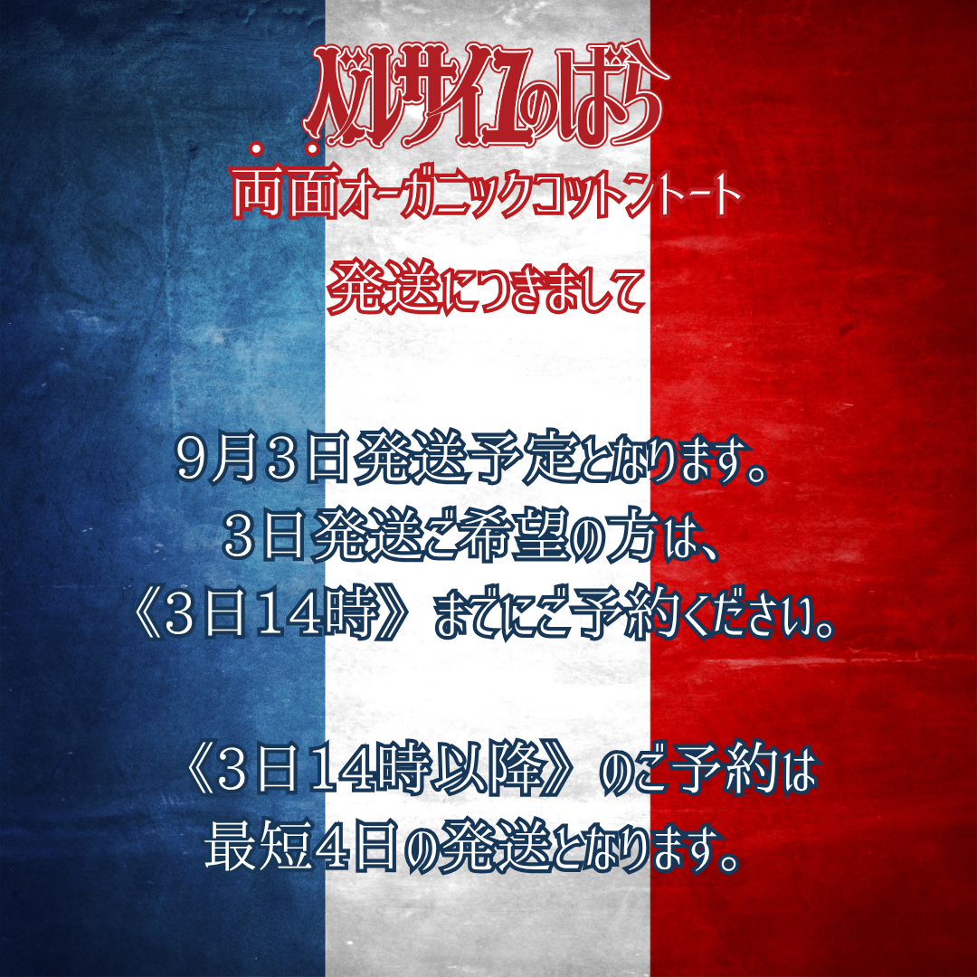 《限定》両面オーガニックコットントート