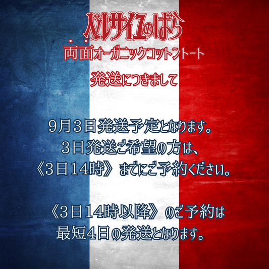 《限定》両面オーガニックコットントート