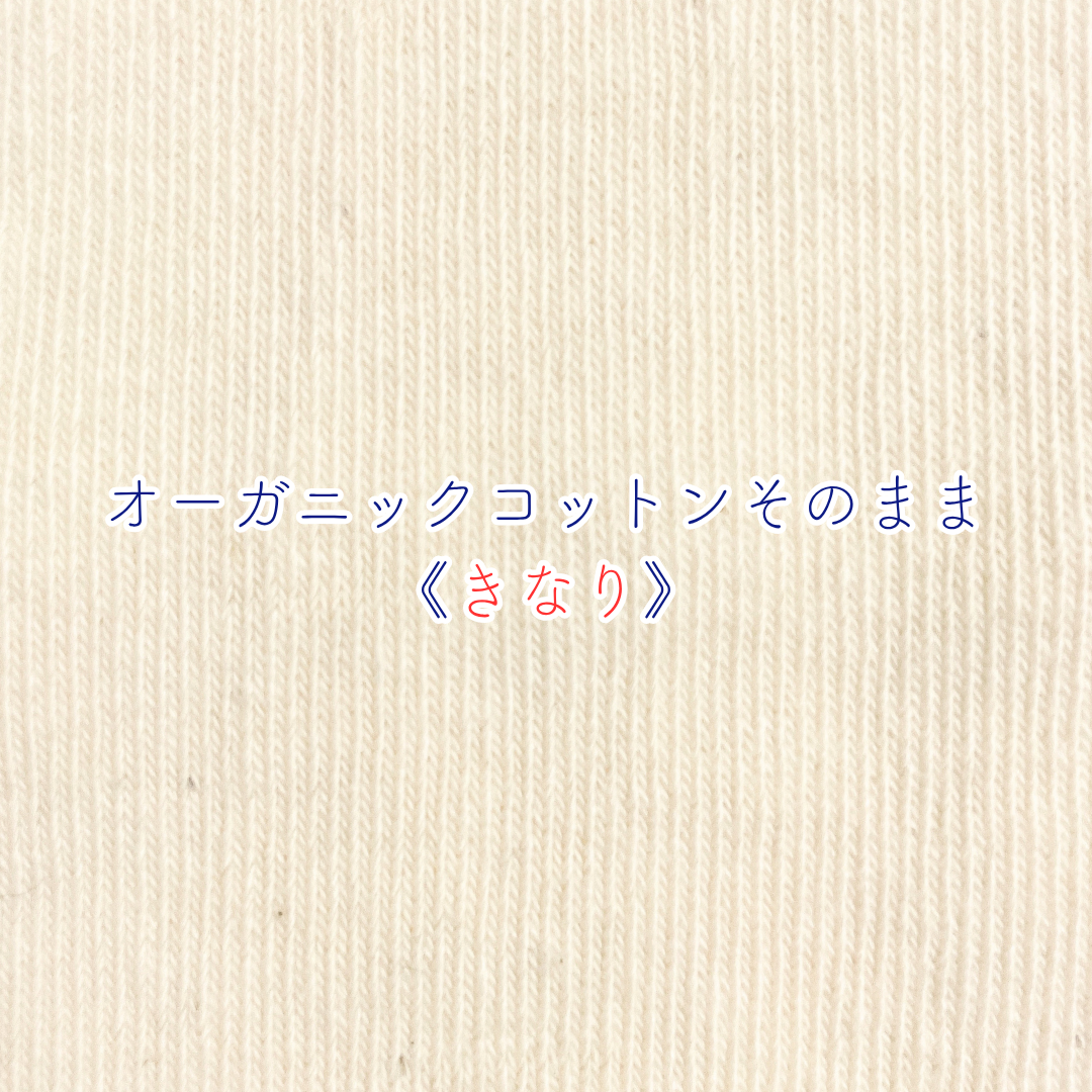 《秋冬》じんわりアームウォーマー PEANUTS