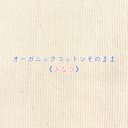 《秋冬》じんわりアームウォーマー PEANUTS