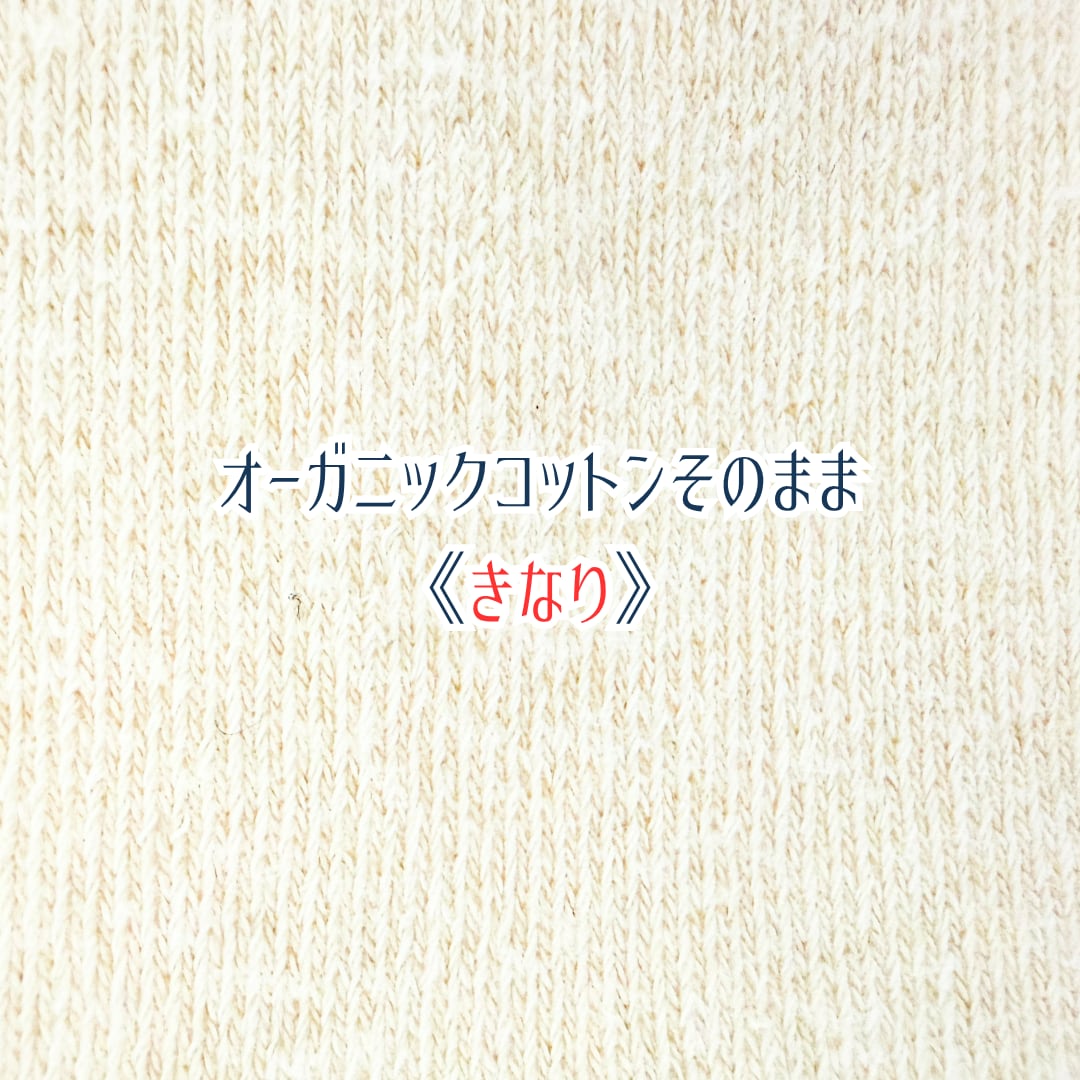はるなつうすふわレッグウォーマー MOOMIN byプラスニド
