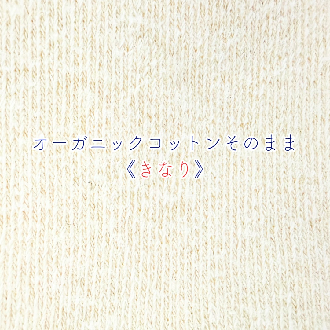 はるなつアームカバー PEANUTS