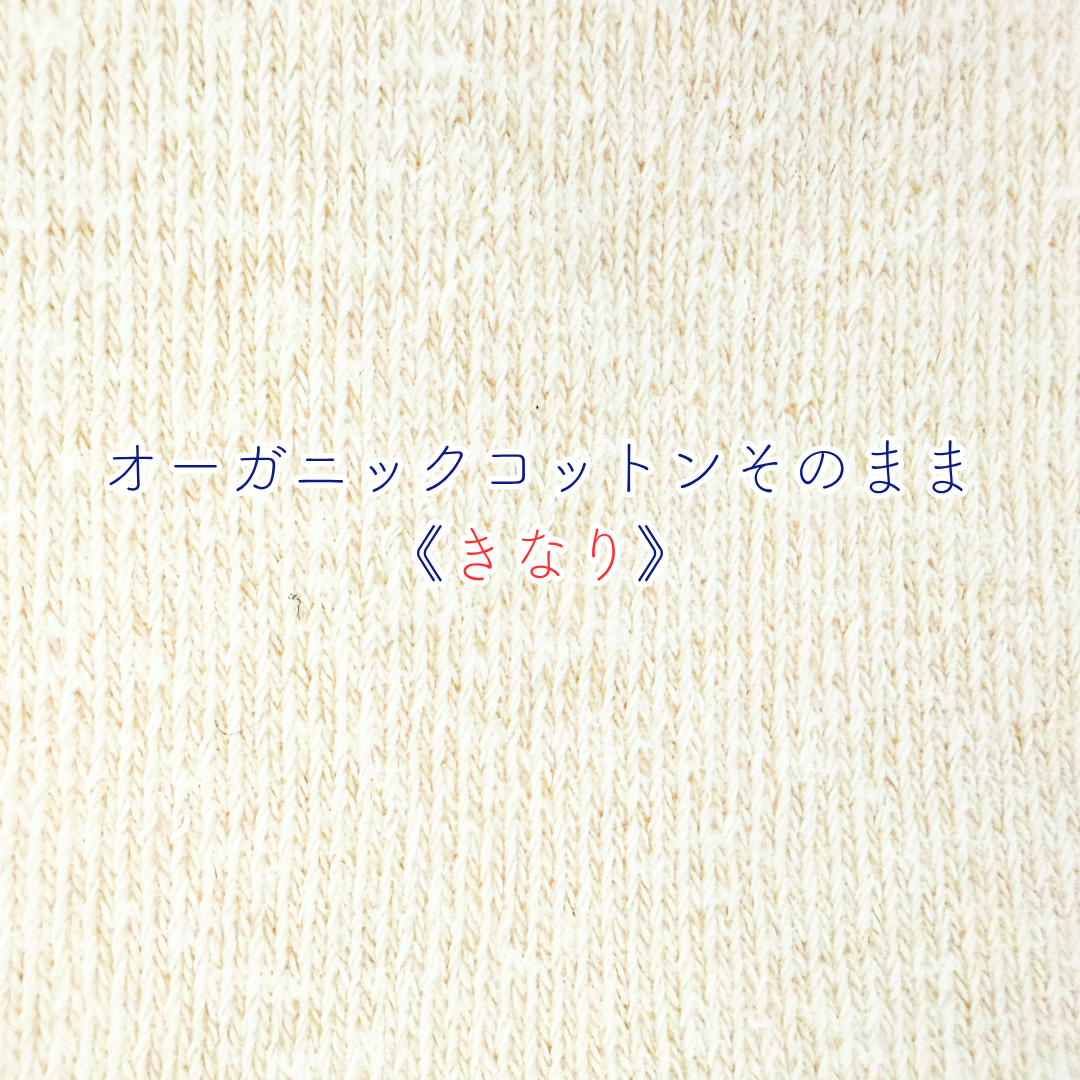 はるなつアームカバー ベルサイユのばら