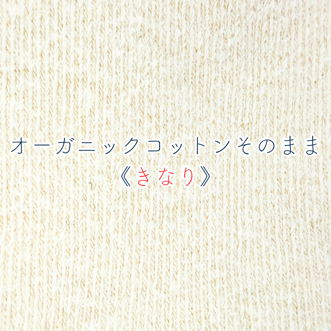 はるなつうすふわレッグウォーマー ベルサイユのばら